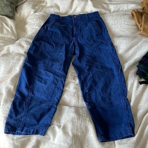 Blue Everlane Utility Barrel Pant